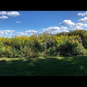 Meet your Posher, Payton